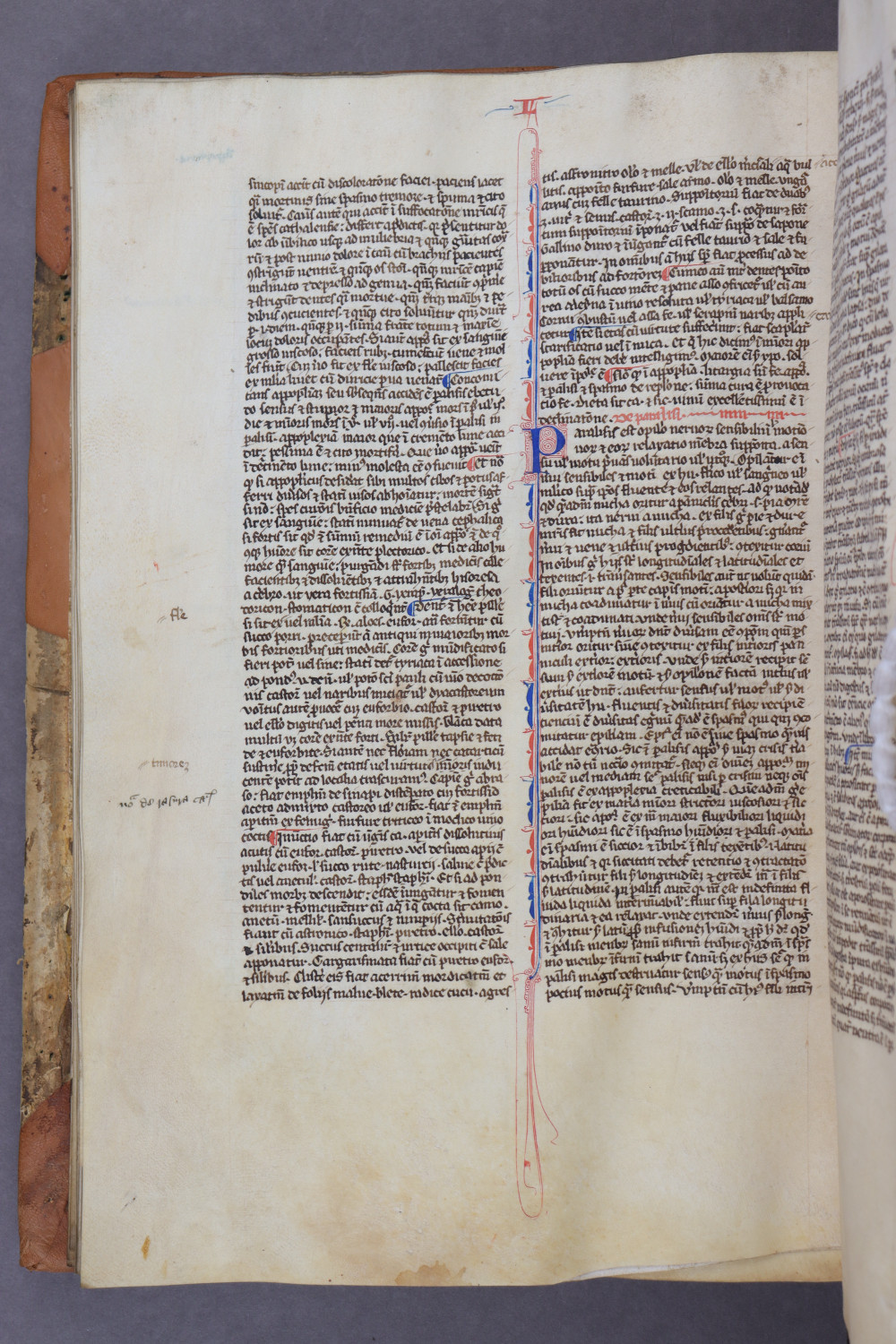 Folio 52 verso